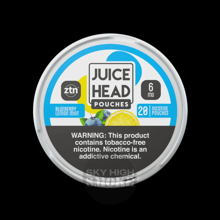 Juice Head Pouches - Blueberry Lemon Mint